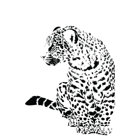 Art Poster Print - Leopard